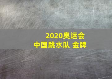 2020奥运会中国跳水队 金牌